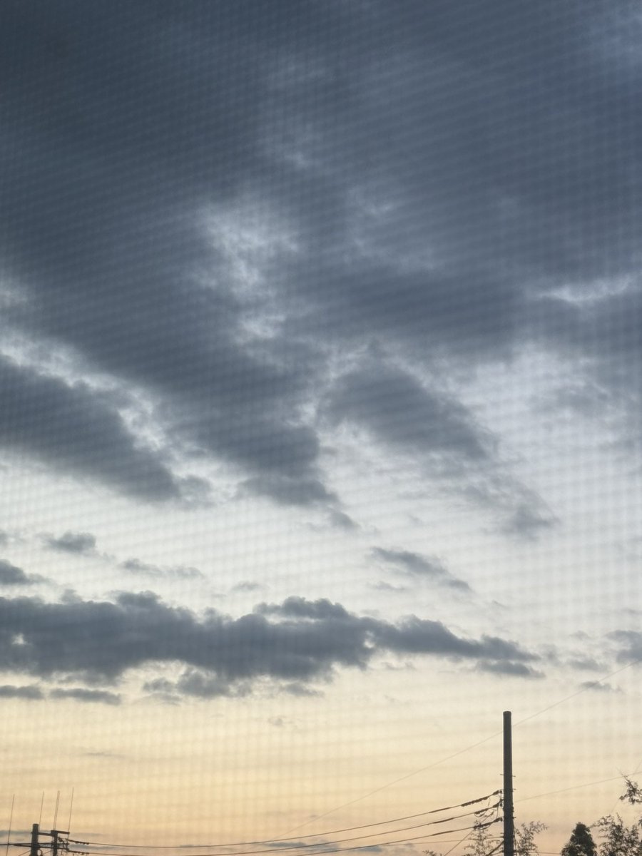 謹賀新年🎍
あけましておめでとうございます！本年も何卒宜しくお願い申し上げます🌅