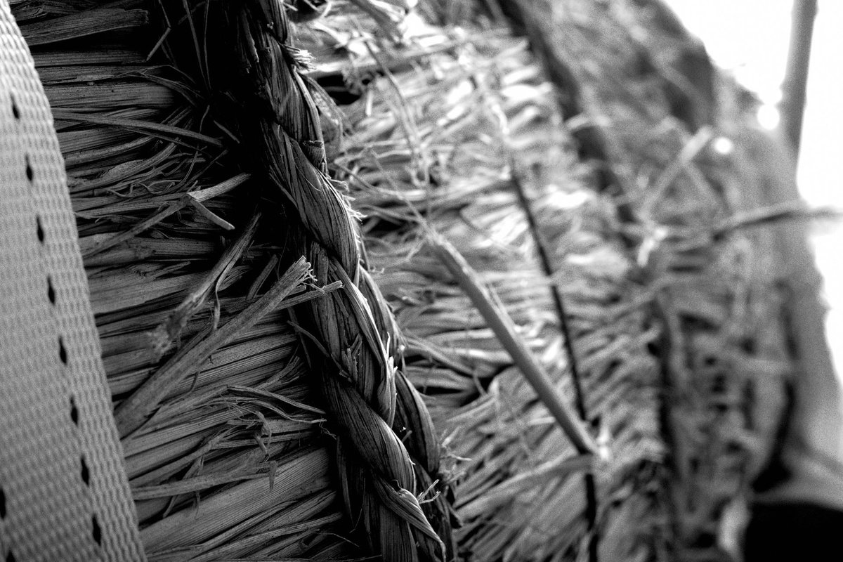 シンゴ (@shingo1228) / Posts / X