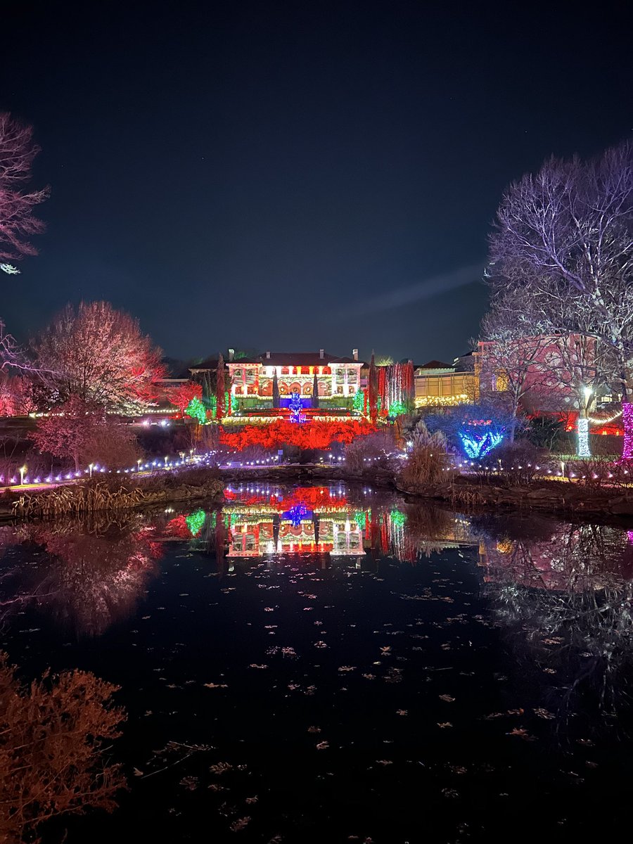 Dalton Savage tweet media