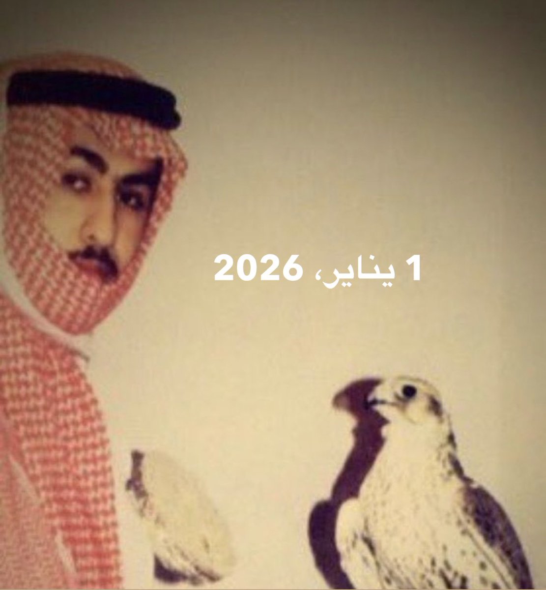 ١ يناير :
على زعيم المرجله والمناعير 
شمر تحَزن كل واحد يناير .

#طلال_الرشيد