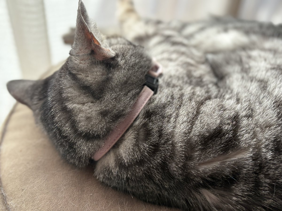 今年もよろしく