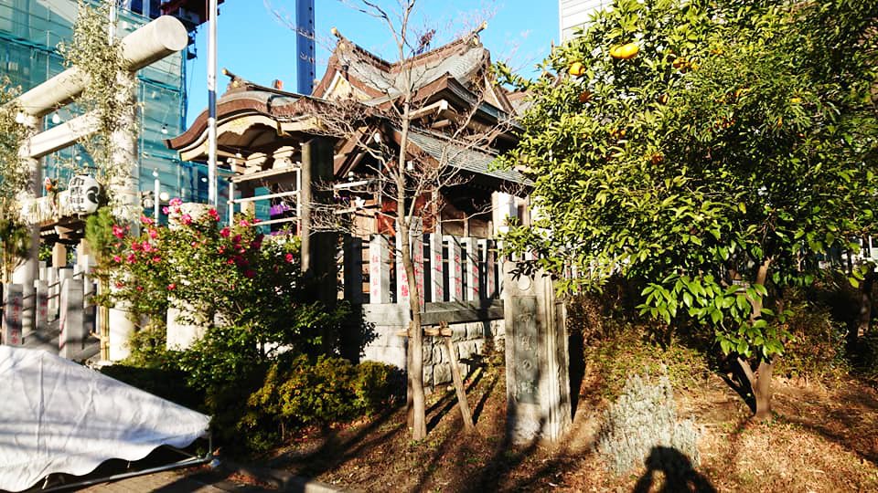 新年明けましておめでとうございます🎍