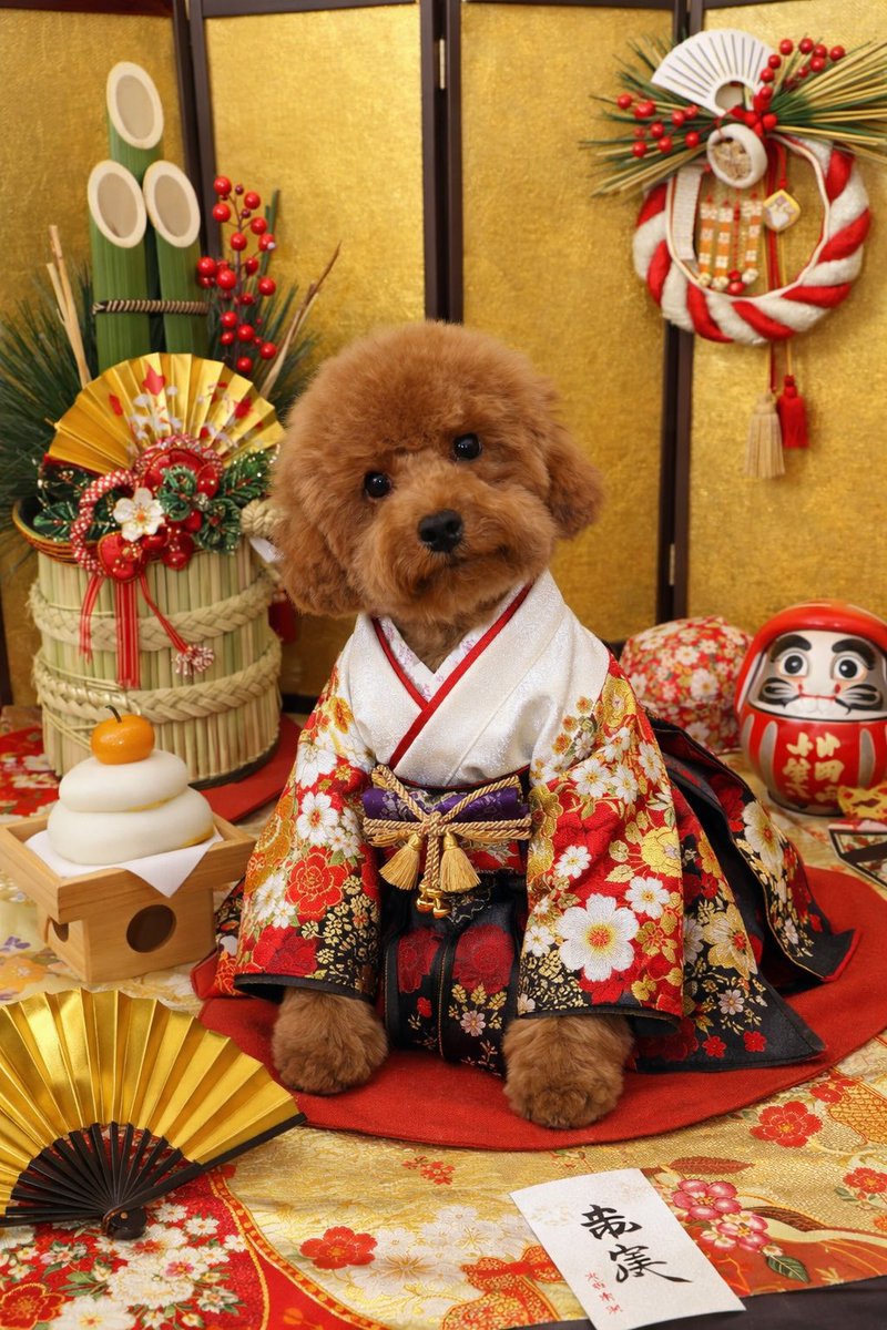 chan_Piro777's tweet photo. 明けましておめでとうございます㊗️
今年も宜しくお願い致します🙇‍♂️🎶 https://t.co/TK9I77skAk