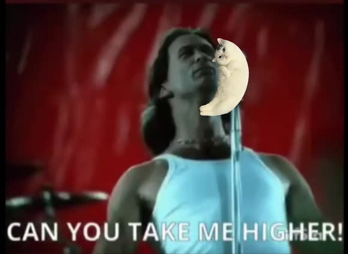 It’s simple…

We all buy the same coin on <a href="/moonshot/">Moonshot</a> and don’t sell.

-The cat moons