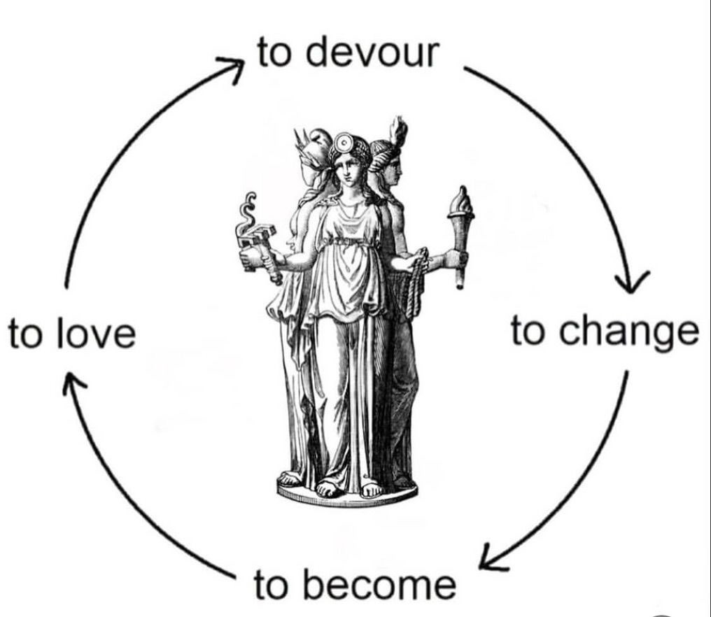 caosilustrado's tweet image. 2026: año del caballo de fuego ✨💫