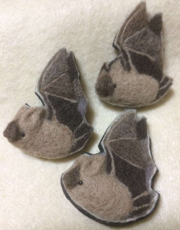 oichi6711's tweet image. 新年あけましておめでとうございます
皆様にとって今年も良い年となりますよう、心よりお祈り申し上げます。

キクガシラコウモリ
　鼻が馬蹄形なので英名では
　Greater horseshoe batと呼ばれます