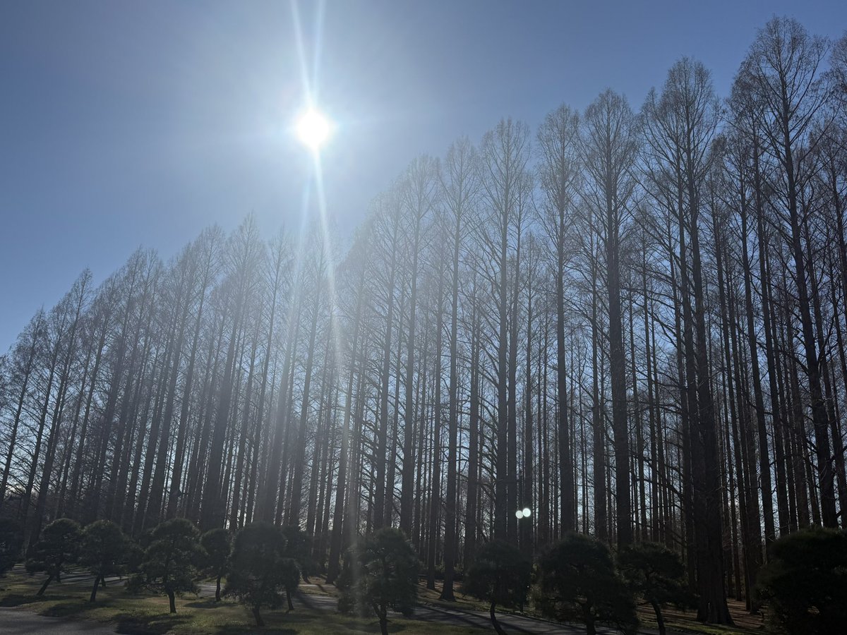 ikuo777's tweet photo. あけましておめでとうございます
今年もよろしくお願いします☀️

今年の目標は体脂肪率10%落とすことですw https://t.co/vnIfze1H5I