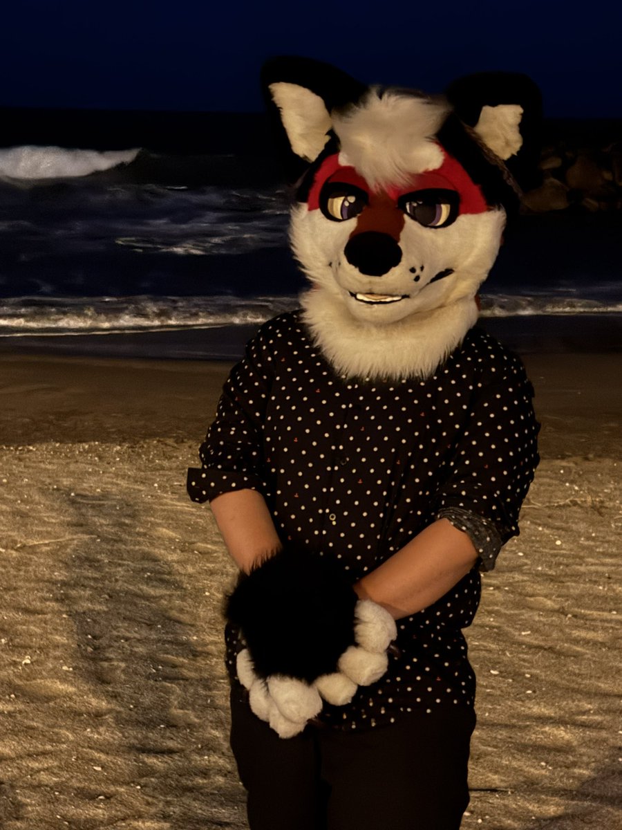 DUST ✨ tweet media