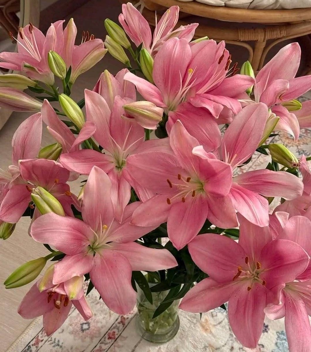 .☘︎ ݁˖bels 𓂃 cr: tudo que deixamos inacabado tweet media