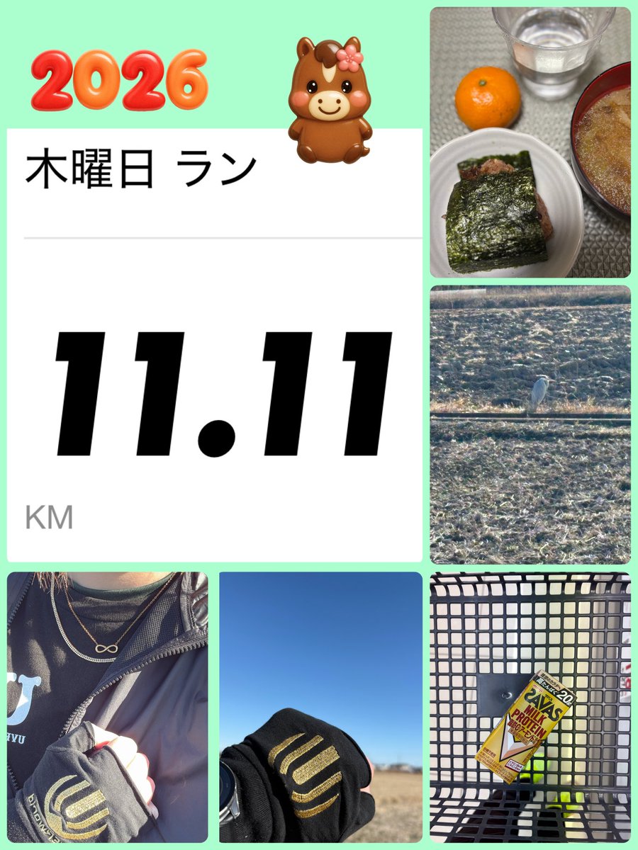 ハルピーページ ハルピ ∞🎽 (@harup8888) / Posts / X