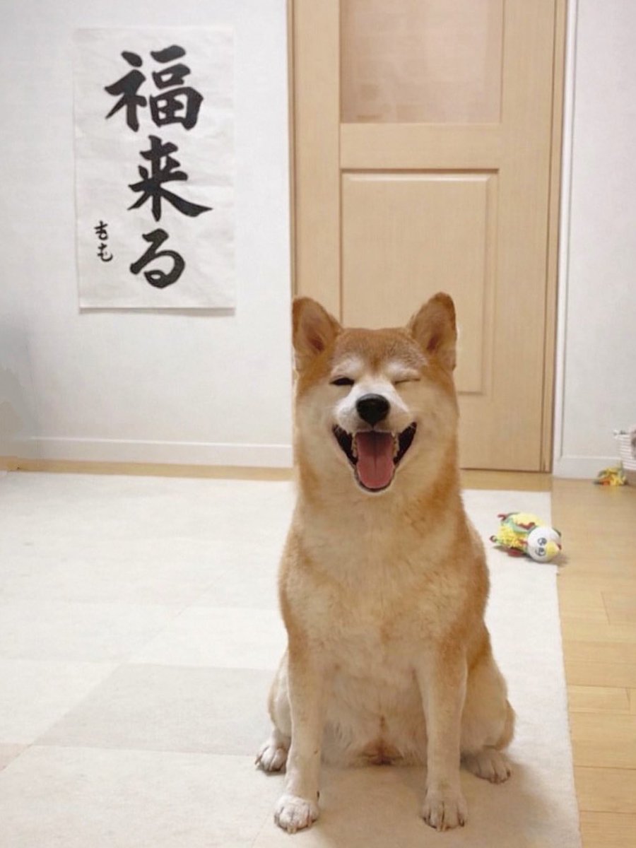 柴犬♡オーダーパネル オーダー】柴犬 キーホルダー | Thyme_G