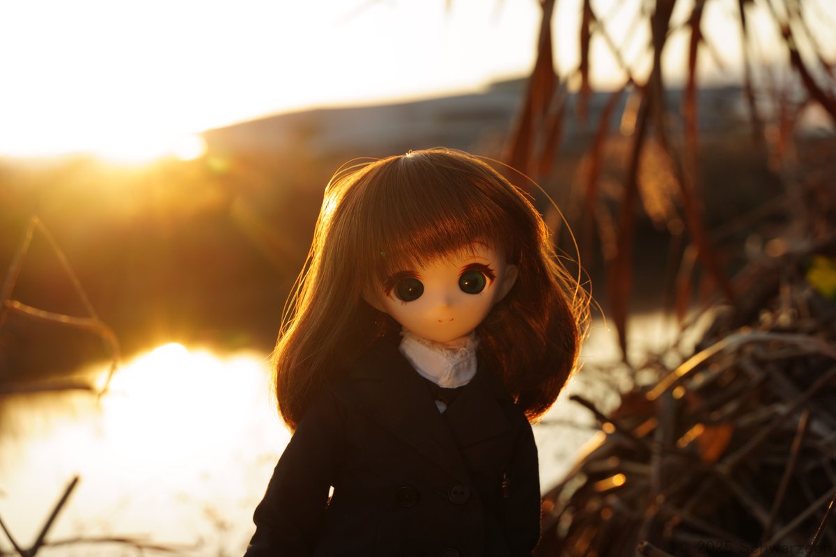 あけましておめでとうございます。出先なので粗いところはありますが今年の初日の出の１枚を。今年もよろしくお願い致します。