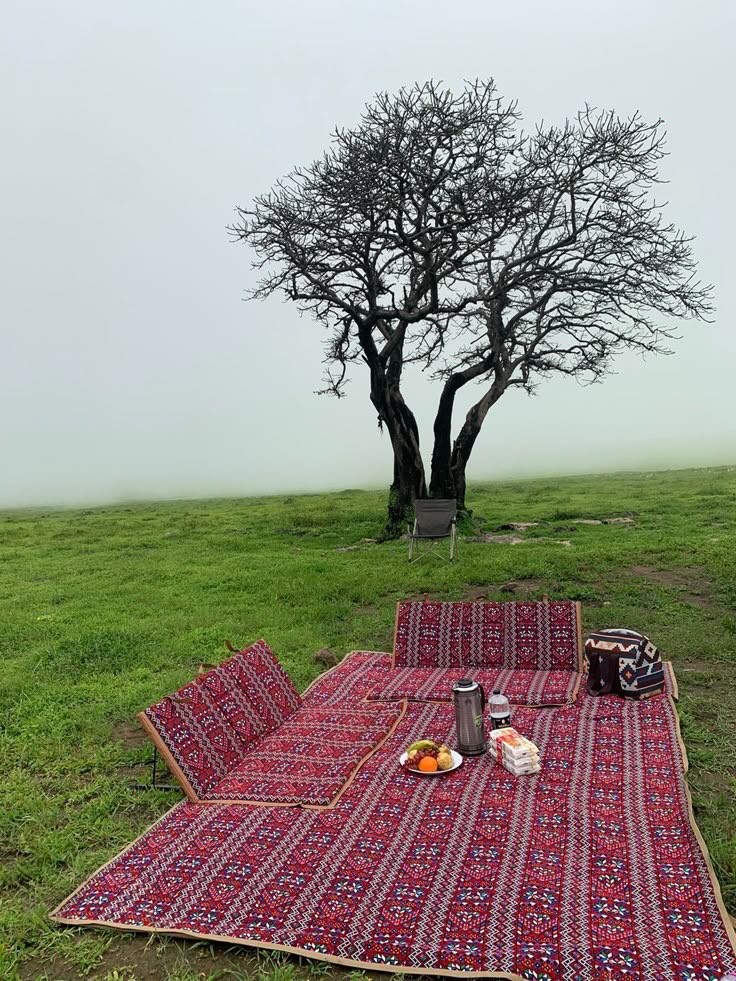 بصراحة مين الشخص الي ودك يكون معك هنا ؟