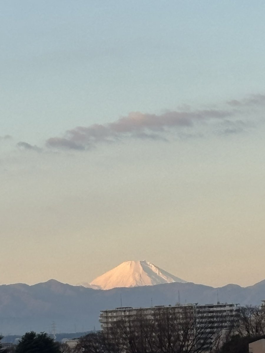 今年も晴れてよかった