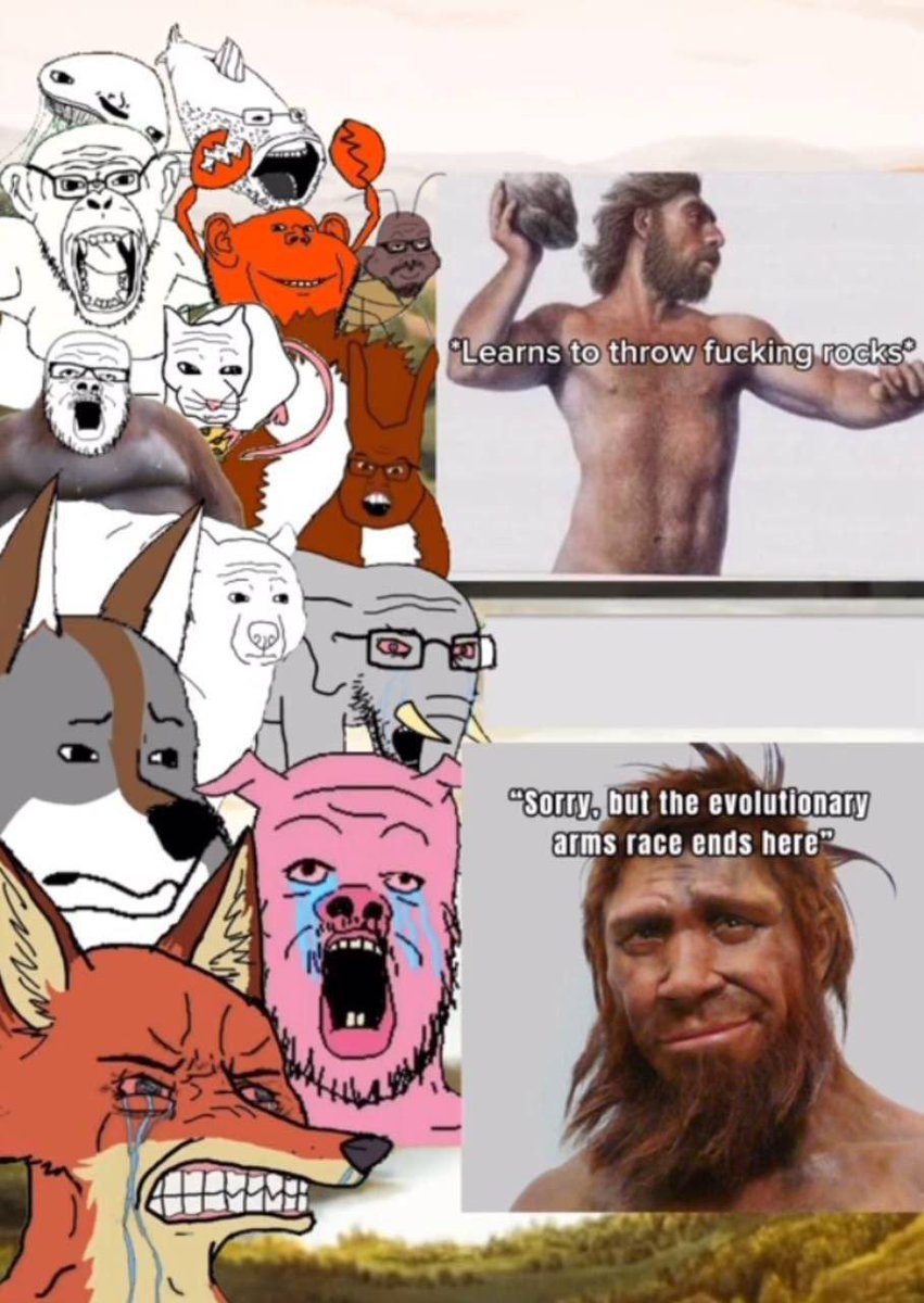 SoyCobson's tweet image. 