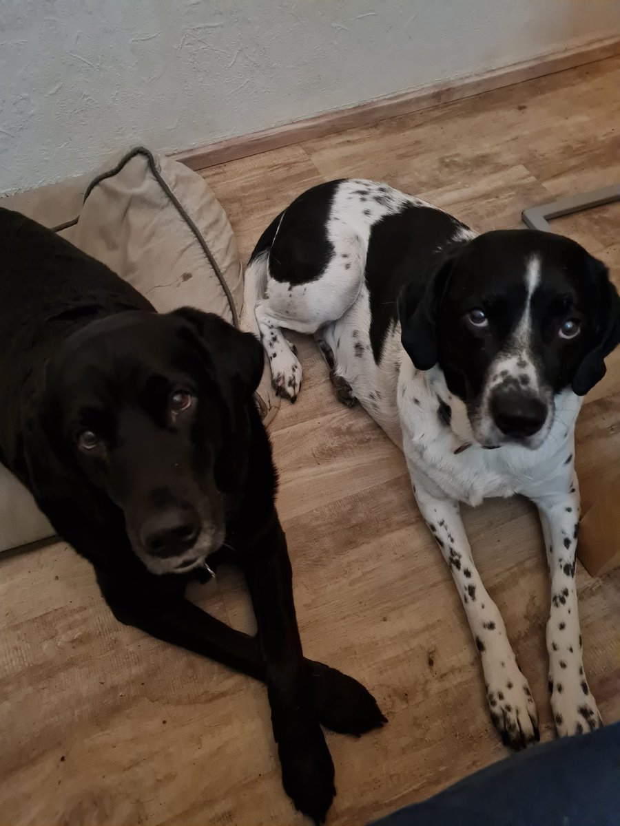 BrenaLilly's tweet image. Unser Silvester ❤️
#twitterrudel 
Wir wünschen euch allen einen guten Rutsch ins neue Jahr 2026, Glück, Zufriedenheit, Gesundheit, Erfolg und auch sonst alles, was ihr euch wünscht oder braucht. Bleibt so, wie ihr seid❣️🫶🎉