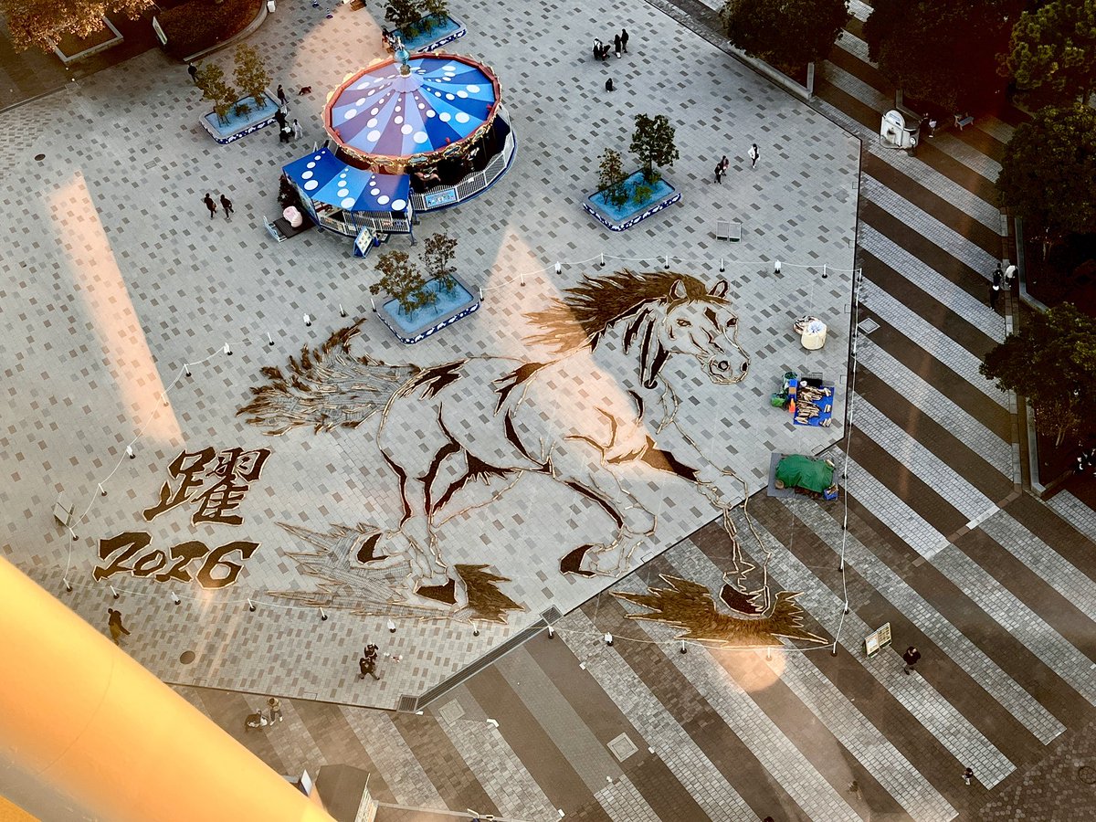 乾山写し 松絵 ひか 乾山写松喰鶴の絵盃 – 白鶴オンラインショップ【公式】｜日本酒や酒粕