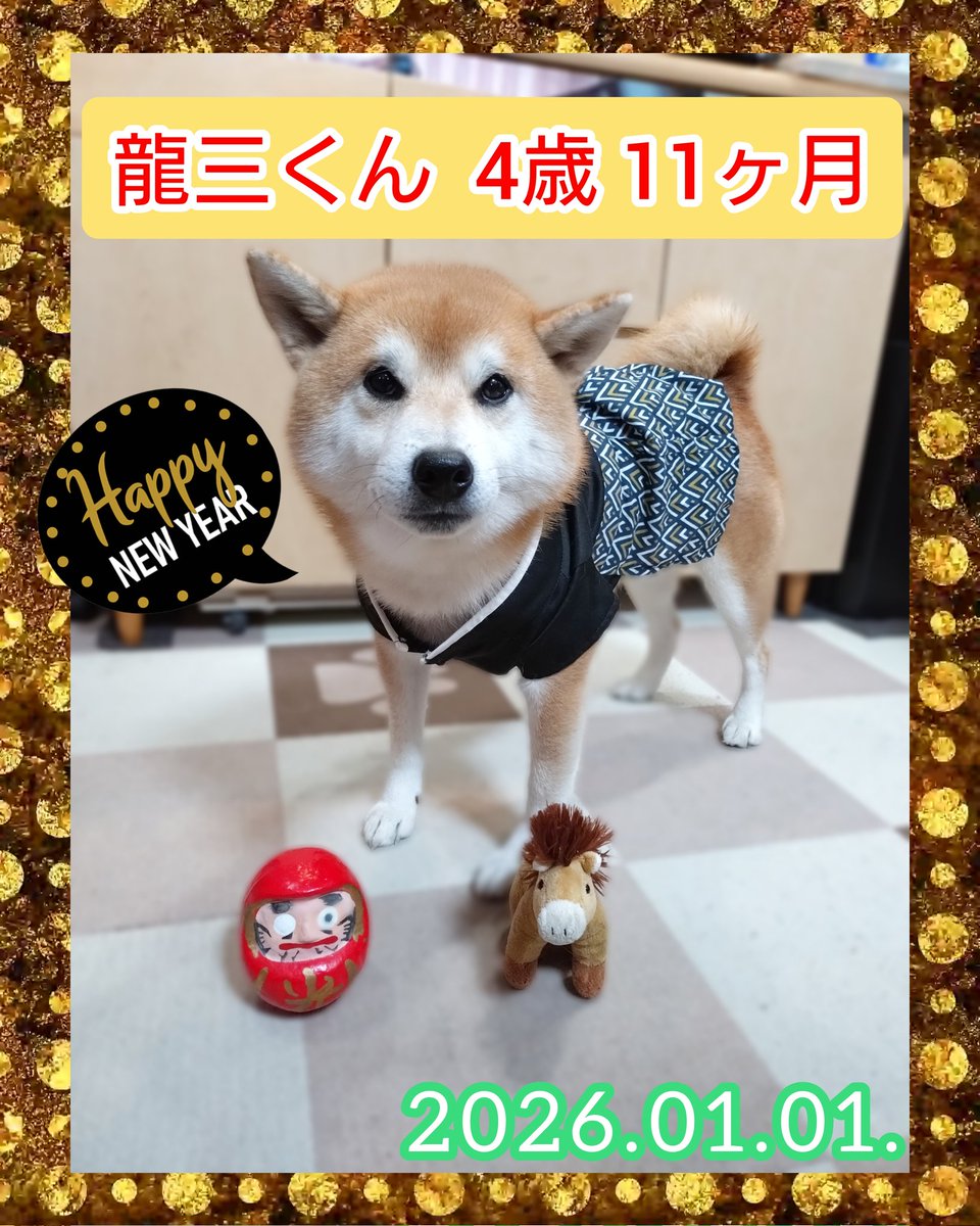 龍ちゃんズとよっちゃんみっちゃん (@ryuchan123bro) / Posts / X