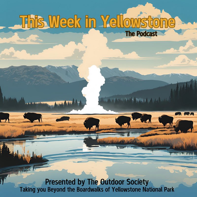 Beyond the Boardwalks: Yellowstone National Park tweet media