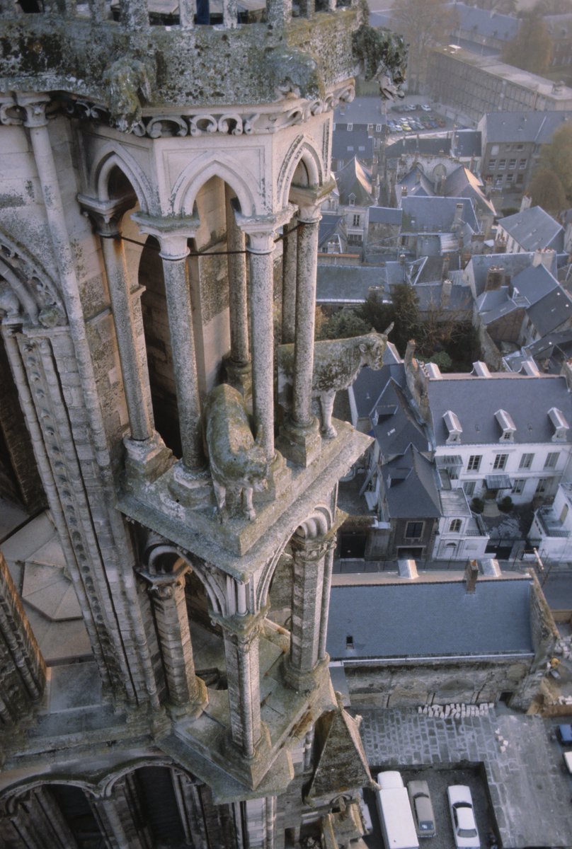 Oxen in the sky at Laon Cathedral, France.