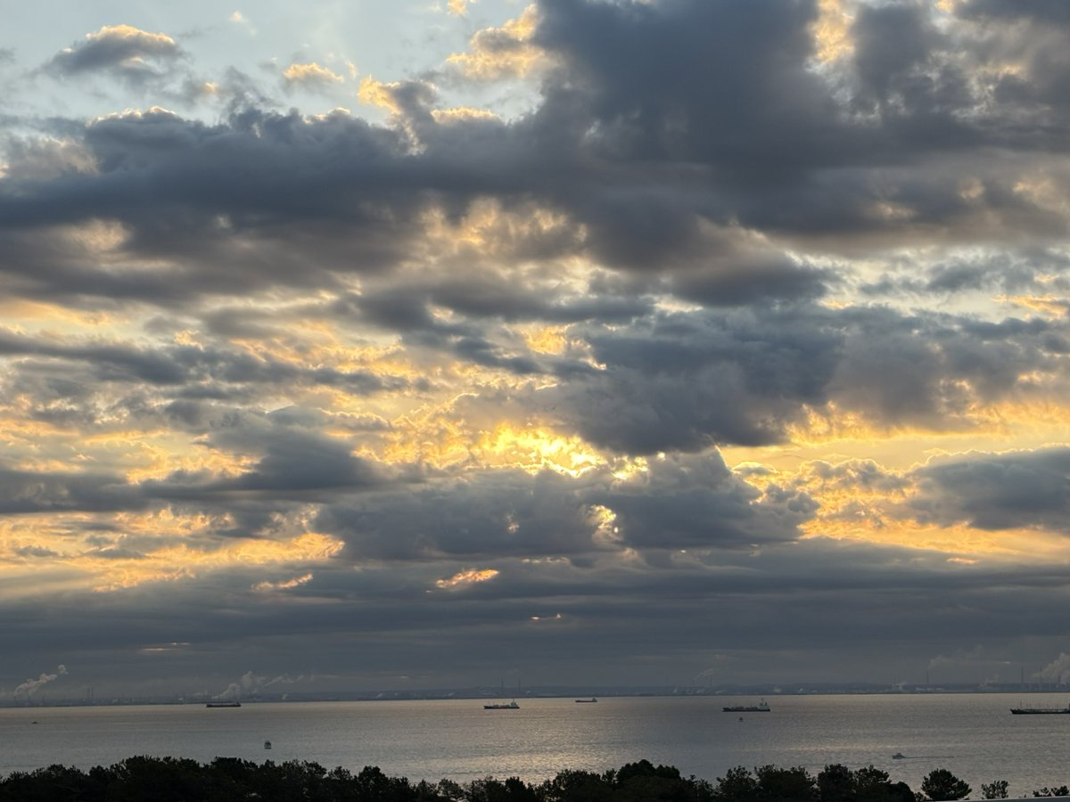 Lab_coat__'s tweet image. みれました