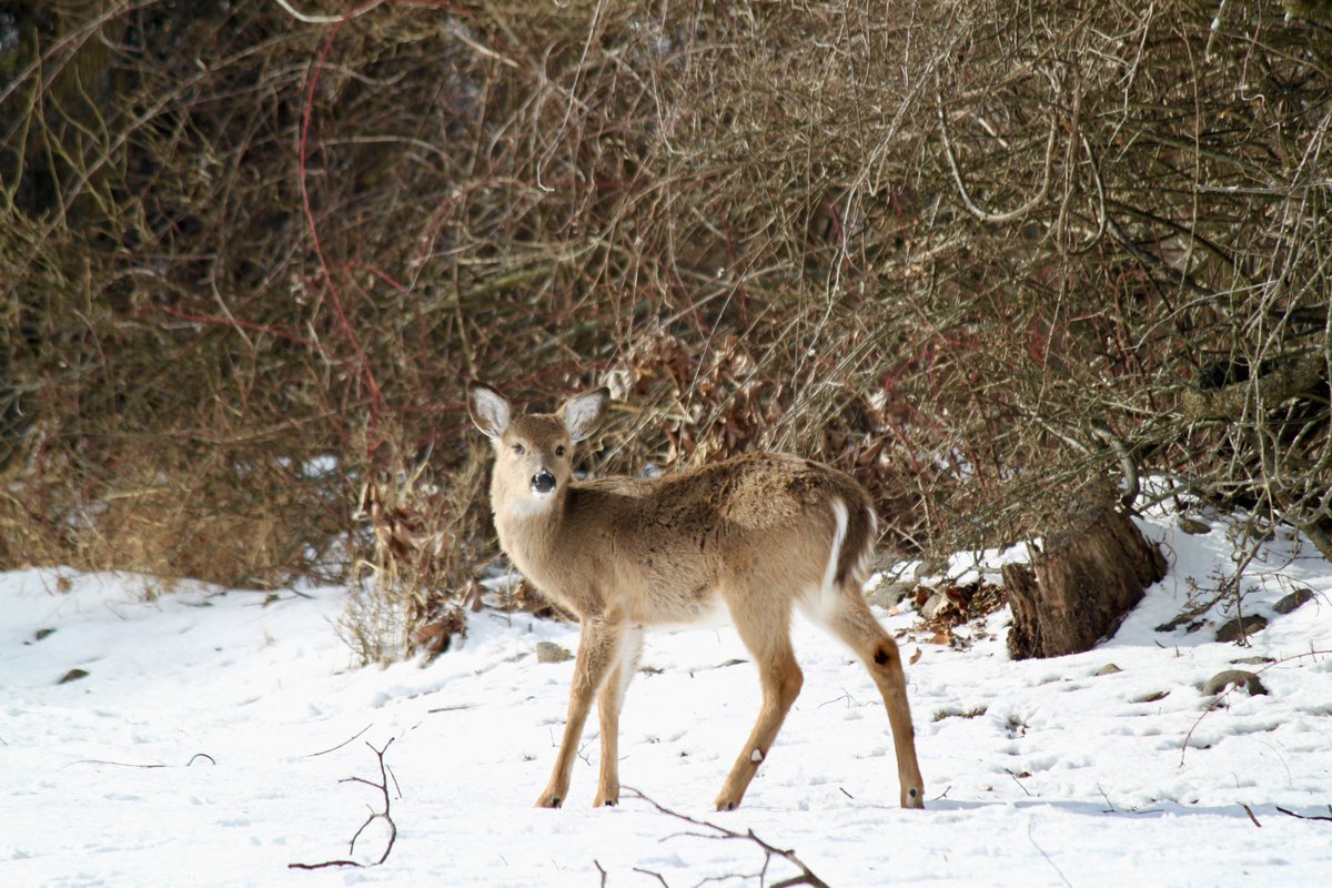 Burgeryearner's tweet image. 