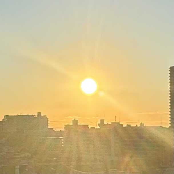 mapletail_live's tweet photo. 謹賀新年☀ https://t.co/mCQUH2GU0E