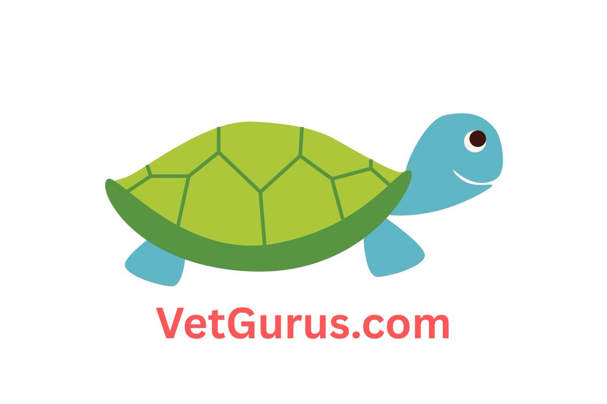 VetGurus tweet media