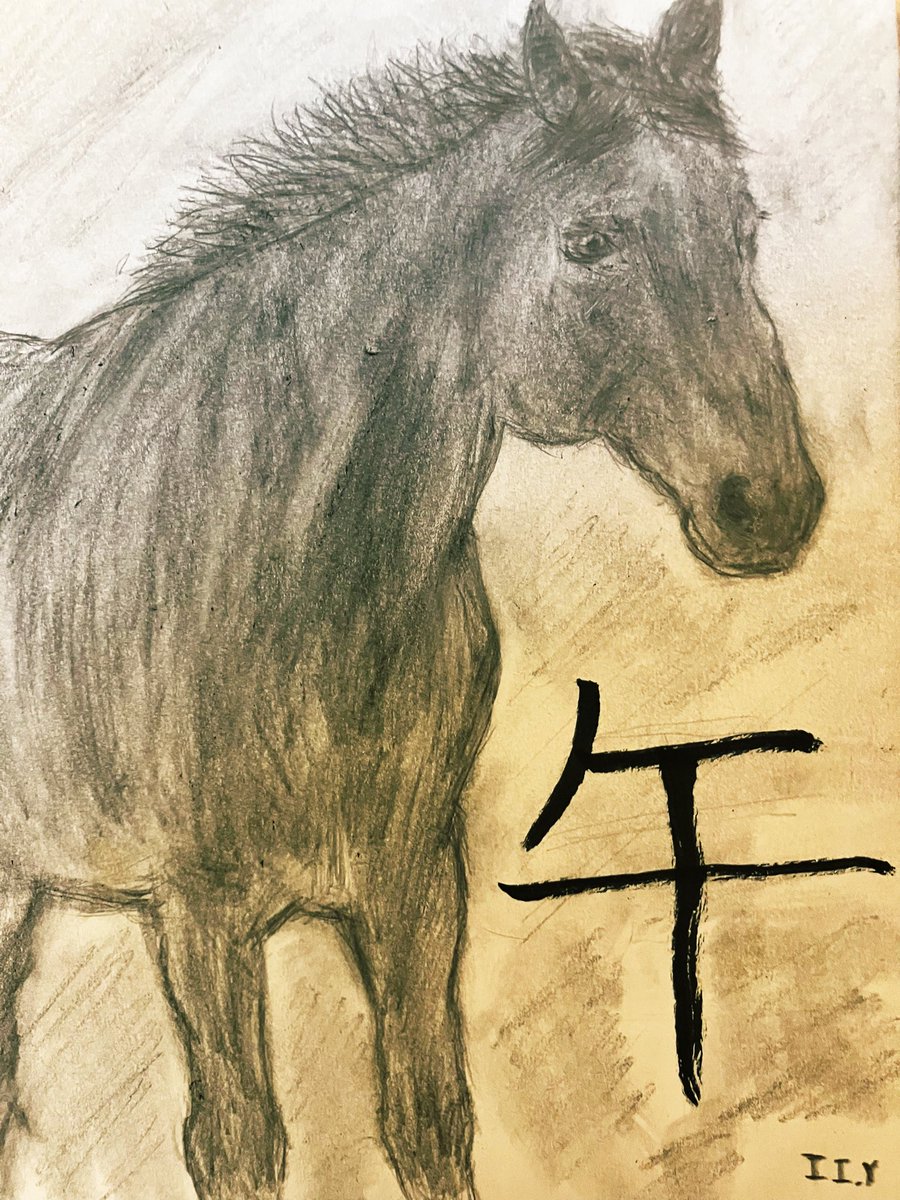 横田惟一郎(zuido) tweet media