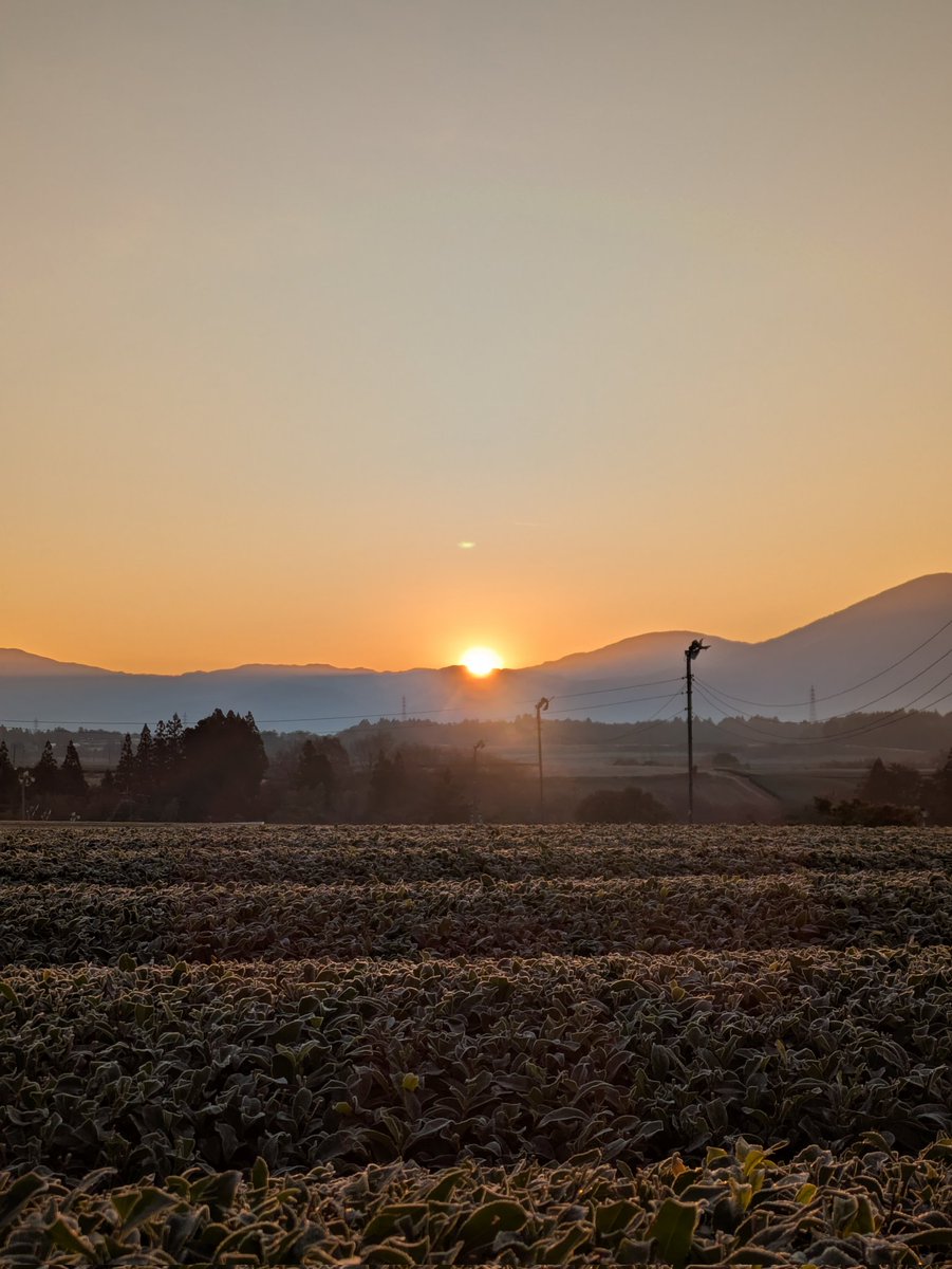 明けましておめでとうございます
今年もよろしくお願いします🌄