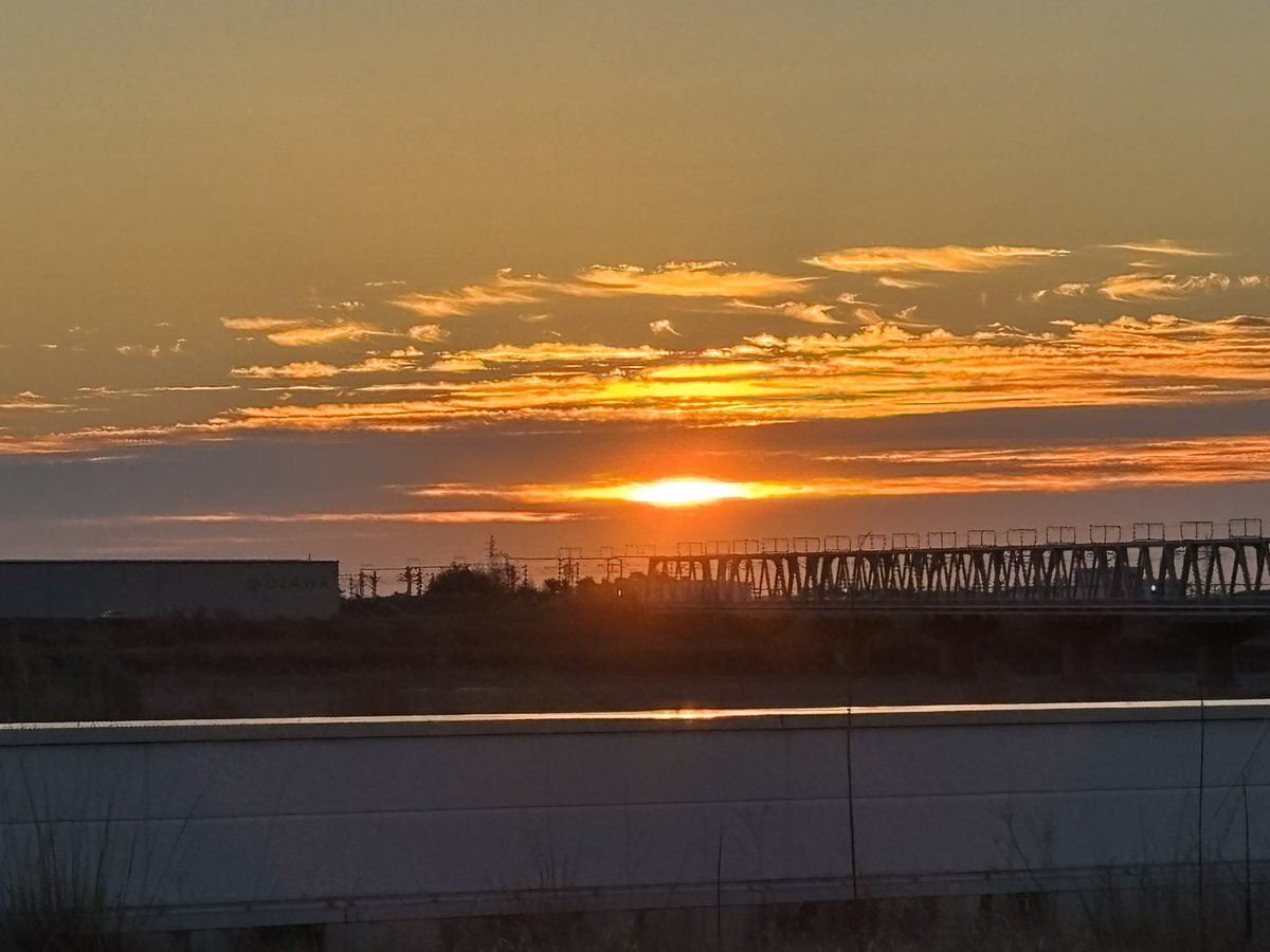 hiroTraditional's tweet image. 🎍✨あけましておめでとうございます✨🎍

今年もまったりよろしくお願いします🎉