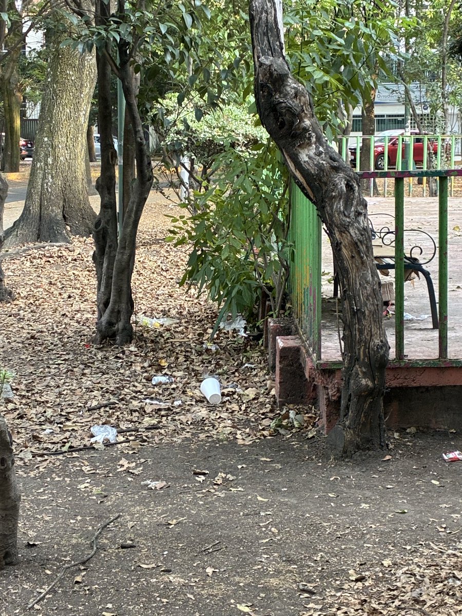 serchitopower's tweet photo. @giogutierrezag buen día y feliz año. Cuando se da una vuelta por prados de Coyoacán para limpiar el parque? Ha venido dos veces en 4 años https://t.co/Jkq1Y9wgit