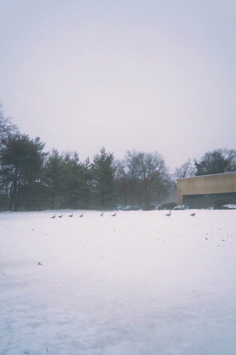 Burgeryearner's tweet image. 