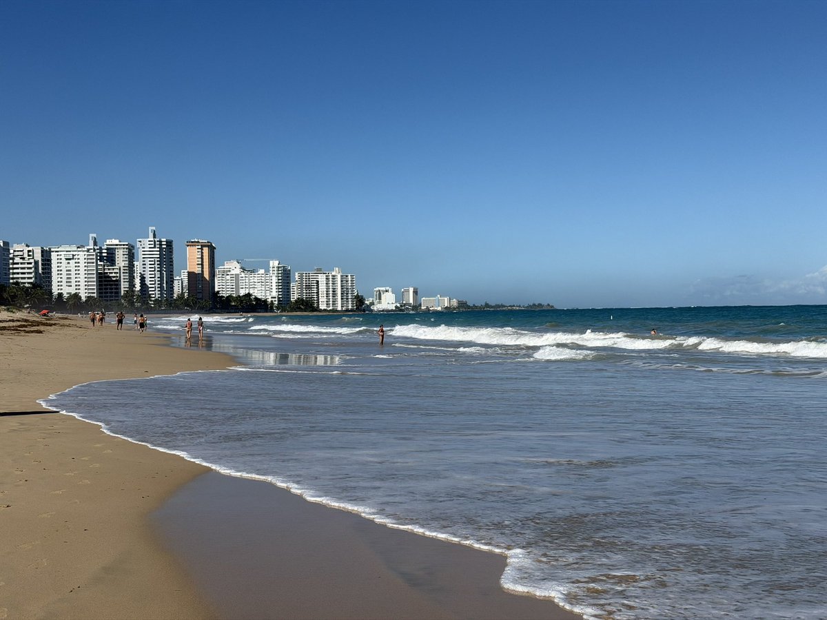 Feng Chu tweet media