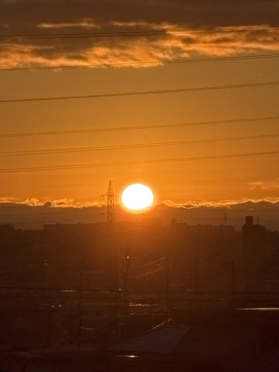 Al2o3_pinkruby's tweet image. 2026年1月1日
初日の出を見に行って
いつもの大きなワンコにも会えました　何かいい事ありそうな予感🤭
皆様本年も宜しくお付き合いくださいませ