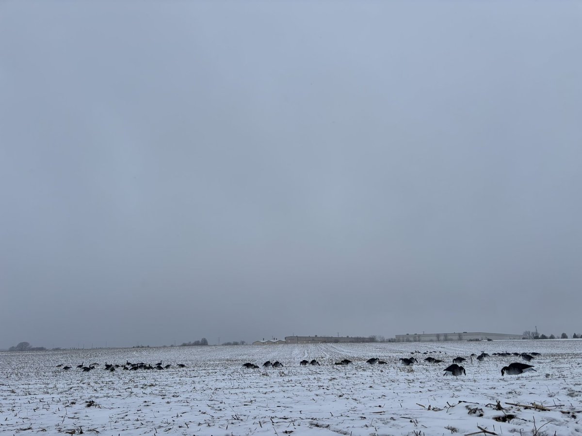 thepring13's tweet image. NYE snowstorm we love to see it #restrictedairspace