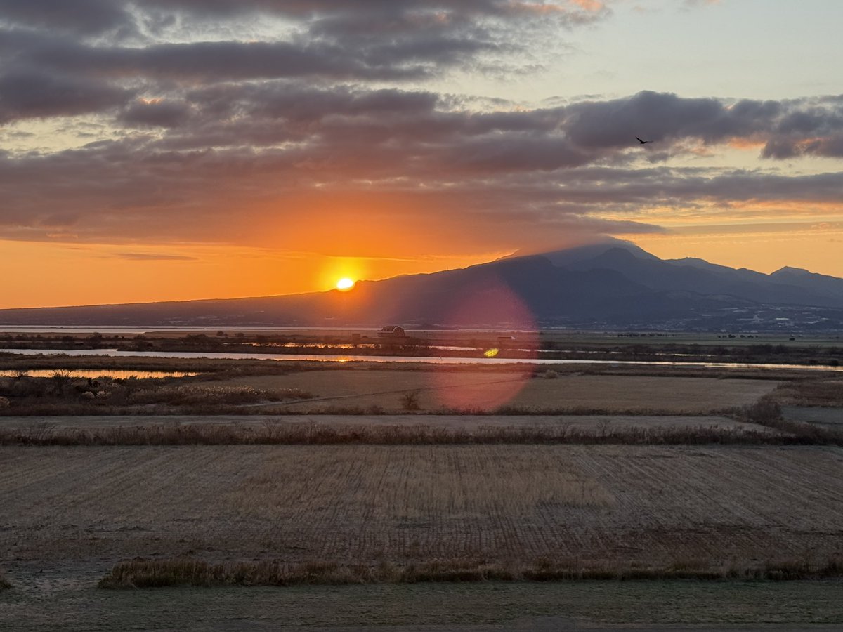 naofeb25's tweet photo. 明けましておめでとうございます🌅
今年もよろしくお願いします😄

#2026年
#初日の出 https://t.co/5EUkh6UAvI