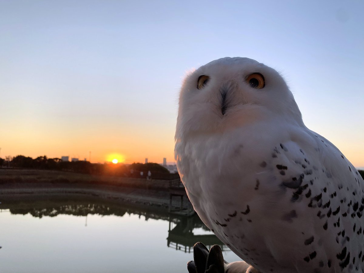 初日の出🌄 

first sunrise🌄