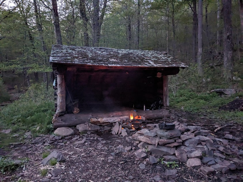 RednBlackSalamander tweet media