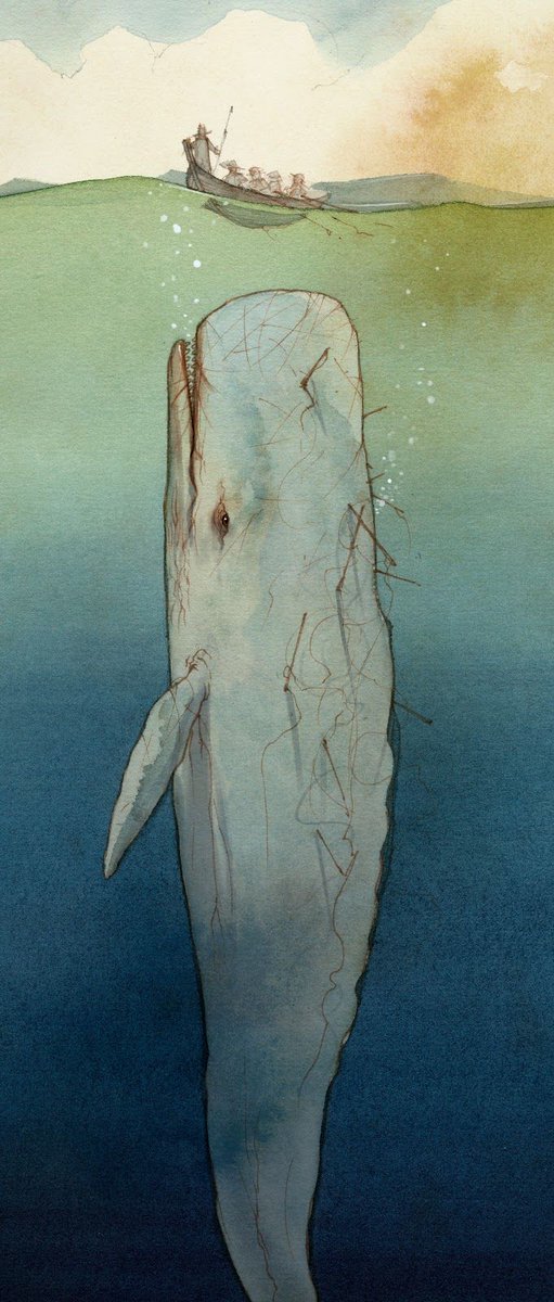 Thomas (@tkerouac76) on Twitter photo 