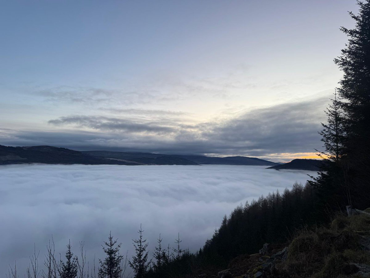 James Martin tweet media