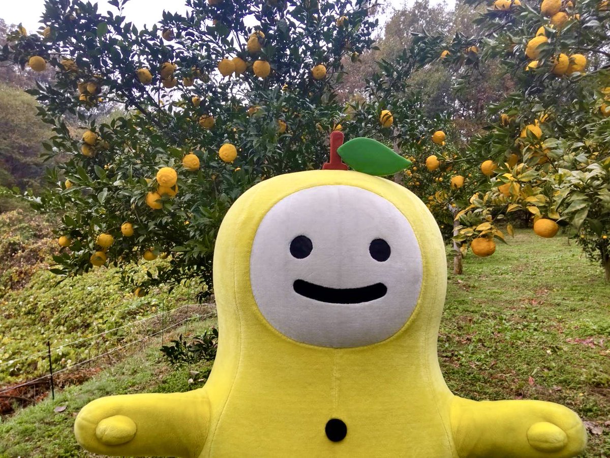 ゆずも ゆずも【公式】 (@yuzumotegi) / Posts / X