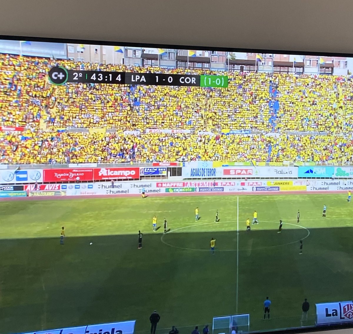 _pitingo_'s tweet image. En mi casa nos la sudan las uvas