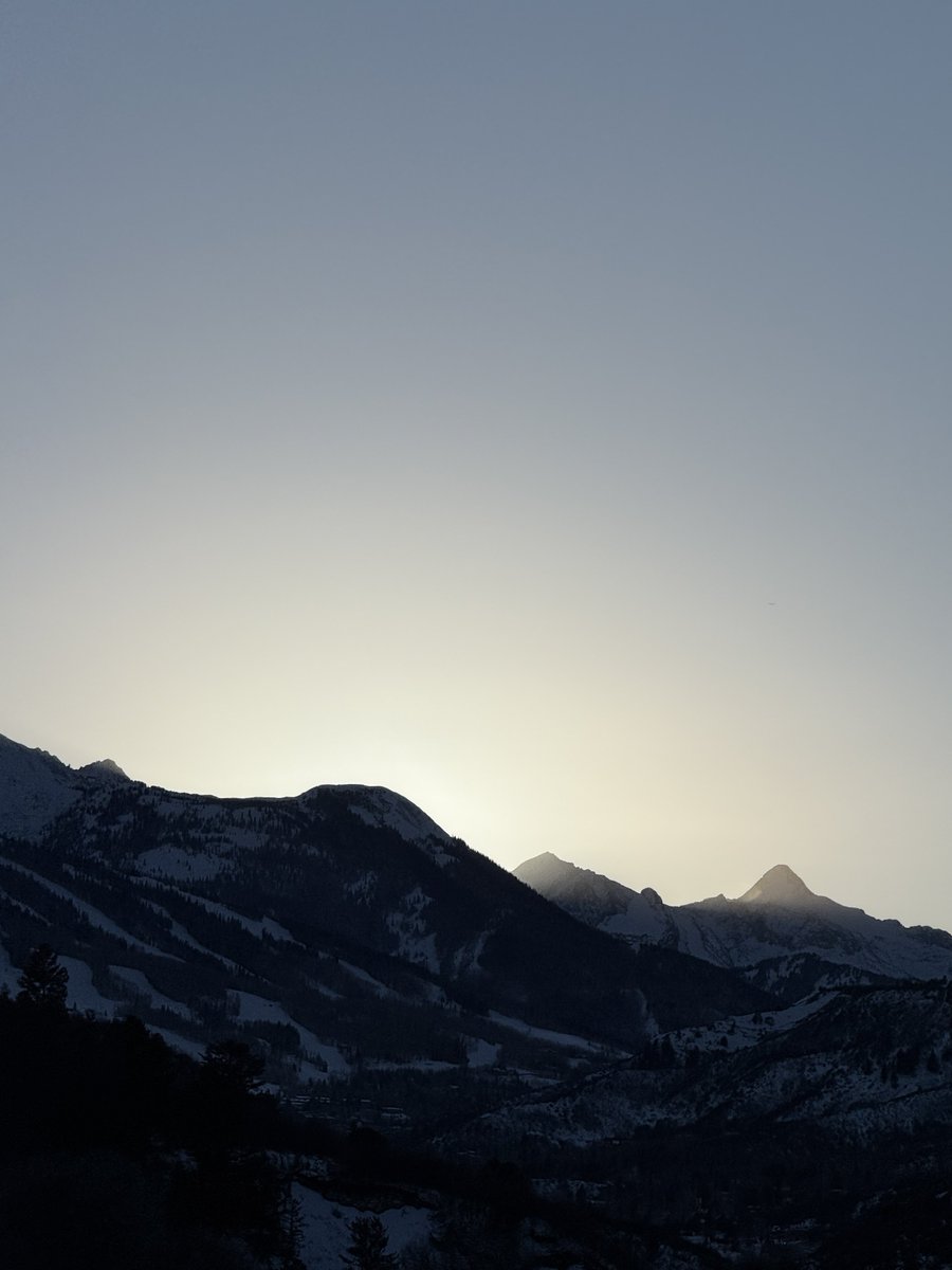 Morgan Trades tweet media