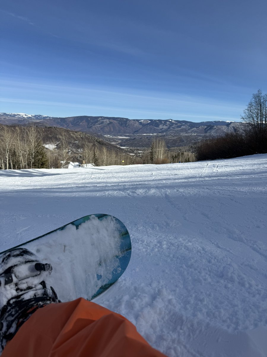 Morgan Trades tweet media