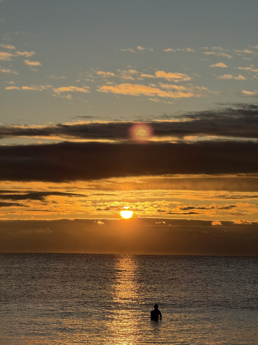 marurin co,Ltd tweet media