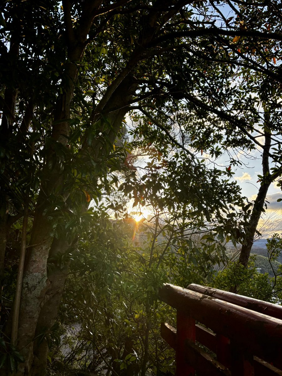 killtyee's tweet image. あけましておめでとう御座います
地元で初日の出見れて最高