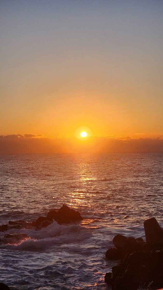 날이밝앗습닞다
임포스터는고개를들어어쩌고