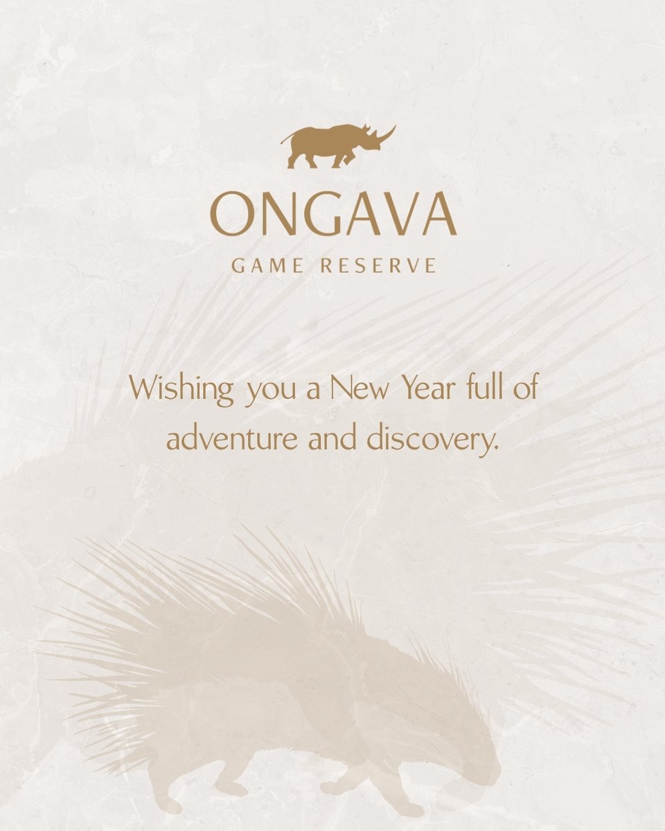 To all who visited, supported, worked, and dreamed with us – thank you.

May the year ahead bring more rain, more life, and more reasons to believe in the resilience of this wild place.

Happy 2026 from Ongava.