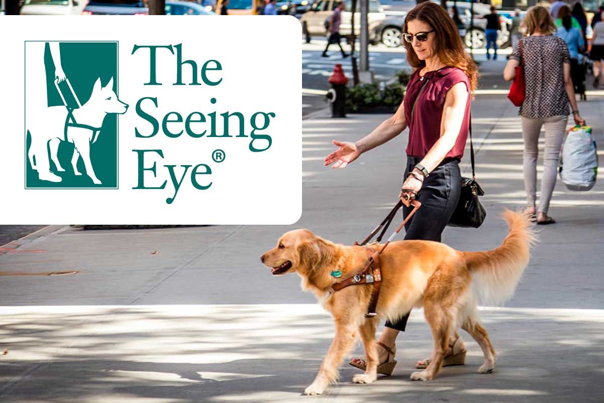 Morris County Tourism Bureau tweet media